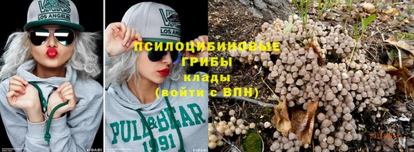 spice Аркадак