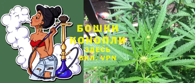 Конопля White Widow  цены наркотик  Высоковск 